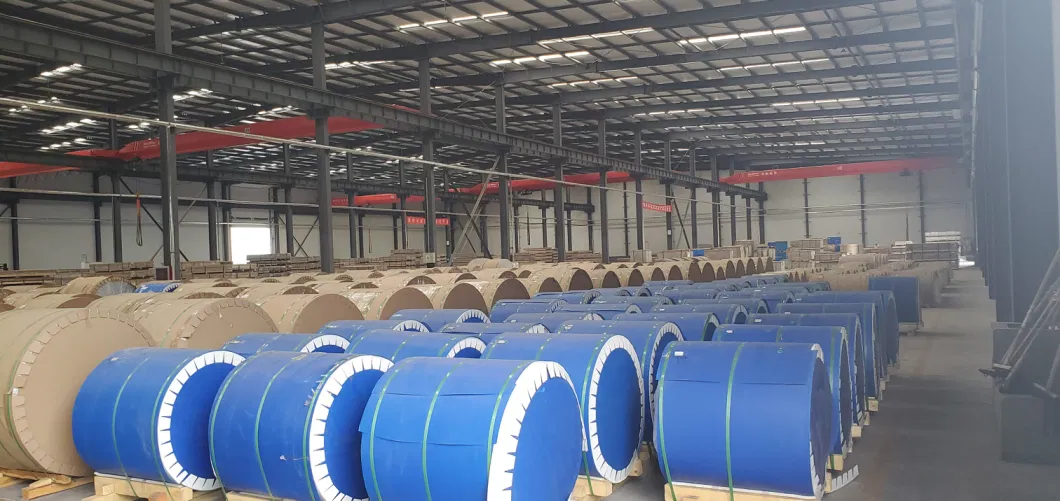 Hot Sale Mill Finish or Roller Coated 1050 1060 1100 3003 5052 5083 6061 8011 Roll Aluminum Coil